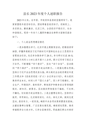 县长2023年度个人述职报告.docx