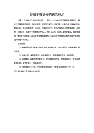 番茄茎蔓徒长的防治技术.docx