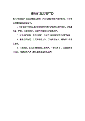 番茄发生肥害咋办.docx