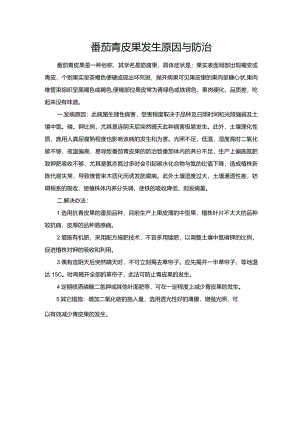 番茄青皮果发生原因与防治.docx