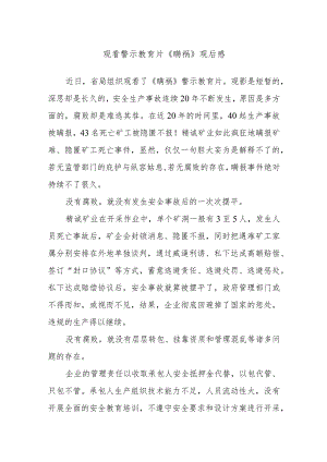观看警示教育片《瞒祸》观后感.docx