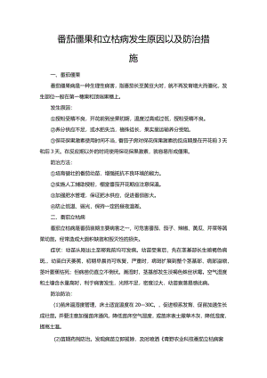番茄僵果和立枯病发生原因以及防治措施.docx