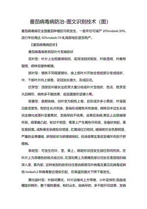番茄病毒病防治-图文识别技术（图）.docx