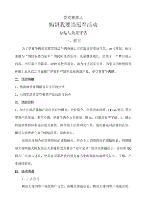 某网络活动总结.docx