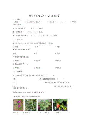 粤教版科学三年级下册13植物的茎练习.docx