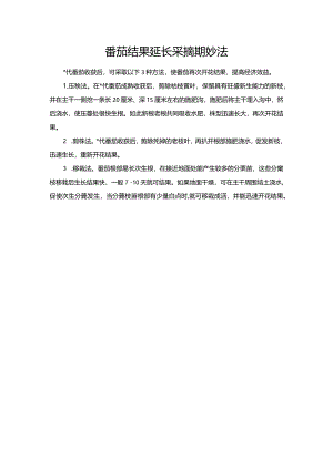 番茄结果延长采摘期妙法.docx