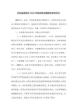 纪检监察组长2023年度述职述廉报告参考范文.docx