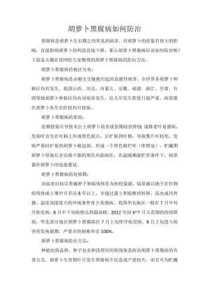 胡萝卜黑腐病如何防治.docx