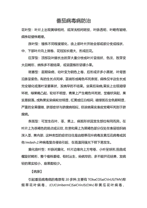 番茄病毒病防治.docx