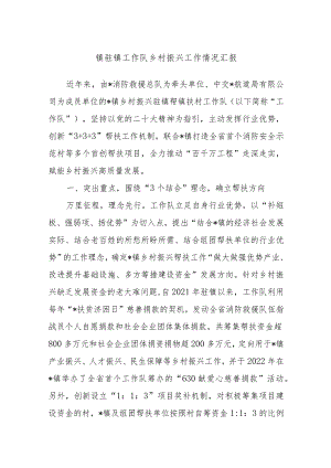 镇驻镇工作队乡村振兴工作情况汇报.docx