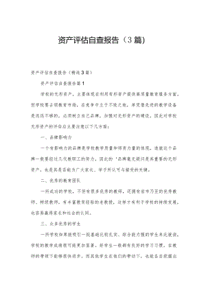 资产评估自查报告（3篇）.docx