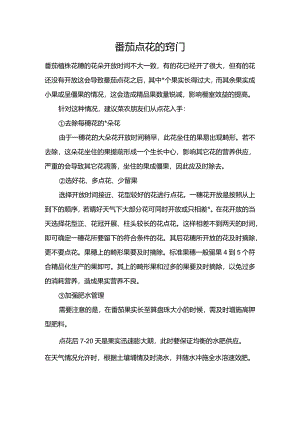 番茄点花的窍门.docx