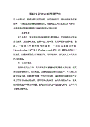 番茄冬管增光增温是要点.docx