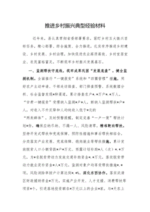 经验做法：推进乡村振兴典型案例.docx