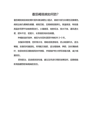 番茄褐斑病如何防？.docx