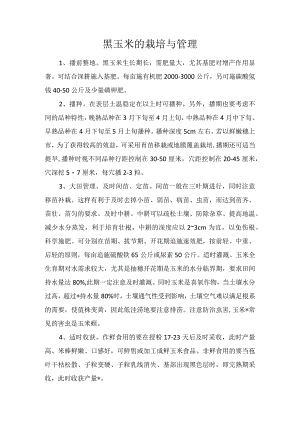 黑玉米的栽培与管理.docx