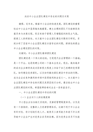 浅谈中小企业团队建设中存在的问题及对策.docx