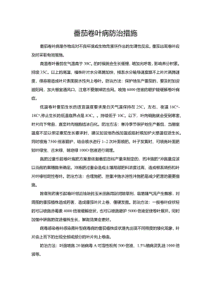 番茄卷叶病防治措施.docx