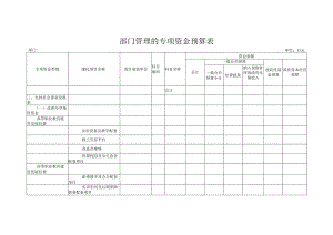 部门管理的专项资金预算表.docx