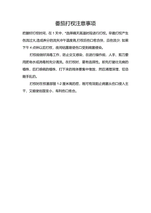 番茄打杈注意事项.docx
