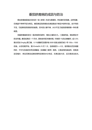 番茄脐腐病的成因与防治.docx
