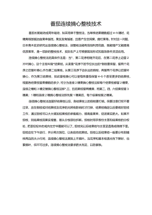 番茄连续摘心整枝技术.docx