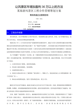 风景区项目合作营销策划方案说明.docx