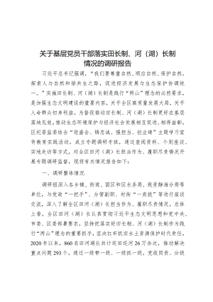 调研报告：基层党员干部落实田长制、河（湖）长制情况.docx
