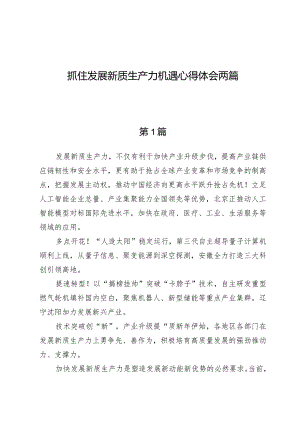 抓住发展新质生产力机遇心得体会两篇.docx