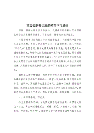 某县委副书记主题教育学习感悟.docx