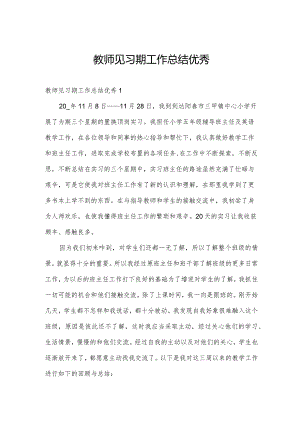 教师见习期工作总结优秀.docx