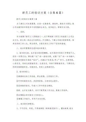 新员工的培训方案（合集6篇）.docx