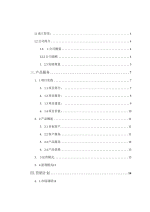 银丝花特色工艺品创业策划书.docx