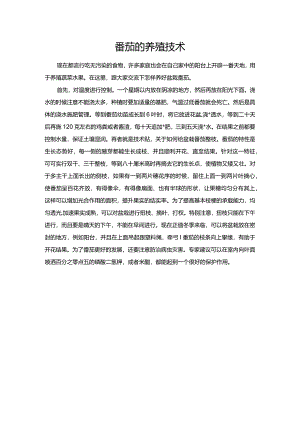 番茄的养殖技术.docx