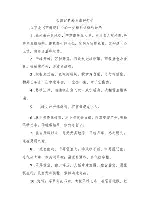 西游记精彩词语和句子.docx