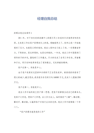 经理自我总结.docx