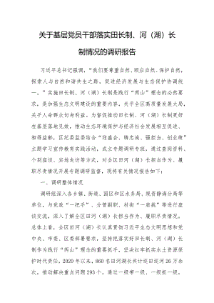 调研报告：基层党员干部落实田长制、河（湖）长制情况.docx