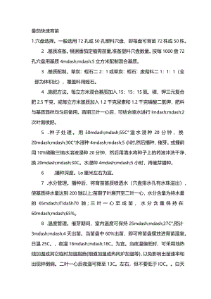 番茄快速育苗.docx