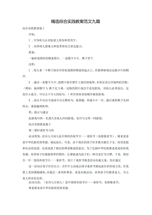 精选综合实践教案范文九篇.docx