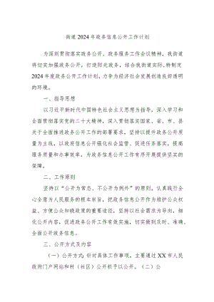 街道2024年政务信息公开工作计划.docx
