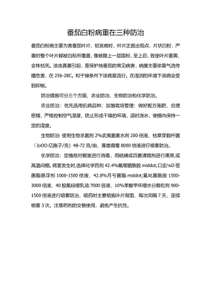 番茄白粉病重在三种防治.docx
