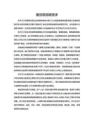 番茄根部病害多.docx