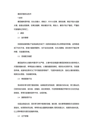 番茄早衰防治技术.docx