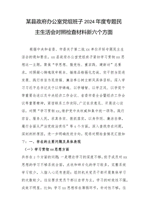 （政府办班子）2024年度主题教育专题民主生活会对照检查材料（践行宗旨等6个方面）.docx