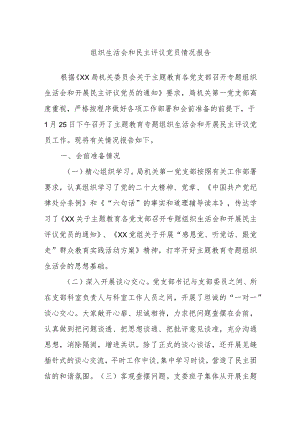 组织生活会和民主评议党员情况报告.docx