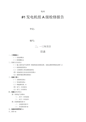 水电站机组A级检修报告.docx