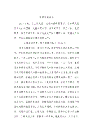 述职述廉报告.docx