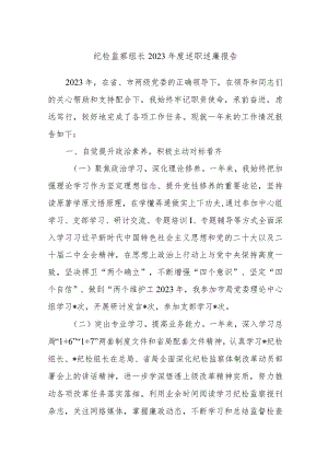 纪检监察组长2023年度述职述廉报告.docx