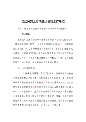 自建房安全专项整治情况工作总结（乡镇）.docx
