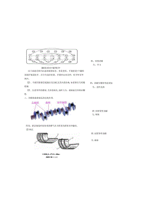 汽车发动机曲轴拆装教案.docx